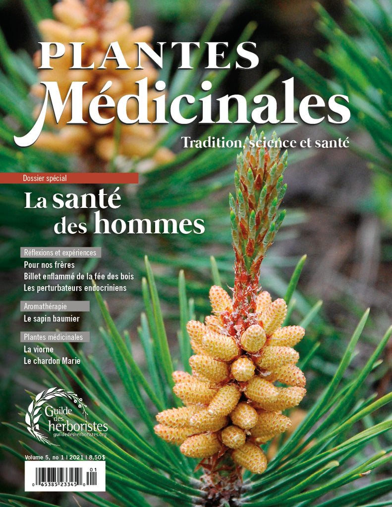 Plantes médicinales - vol. 5, no 1, 2021