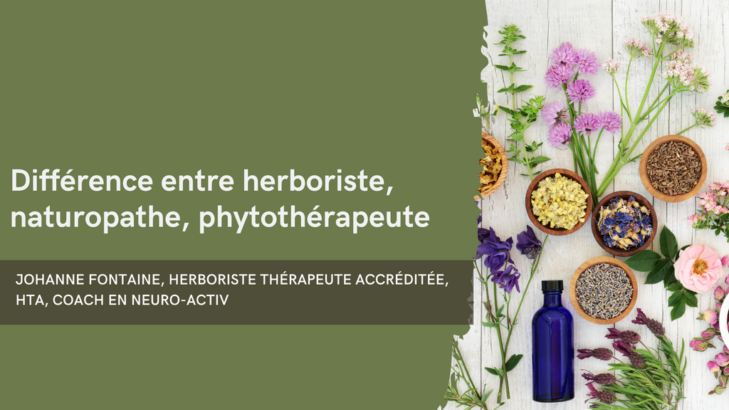 Différence entre herboriste, naturopathe, phytothérapeute
