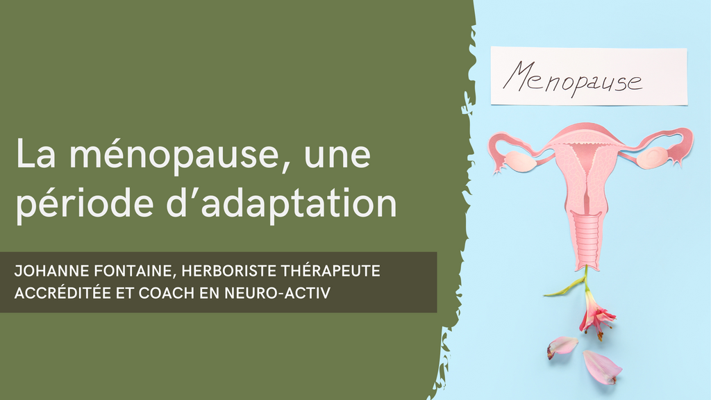 La ménopause, une période d’adaptation