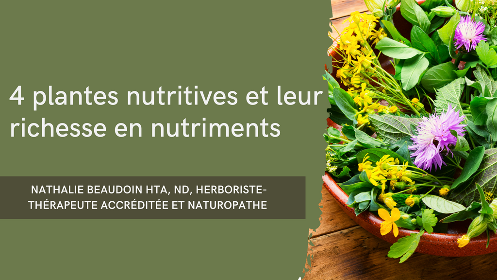 4 plantes nutritives et leur richesse en nutriments