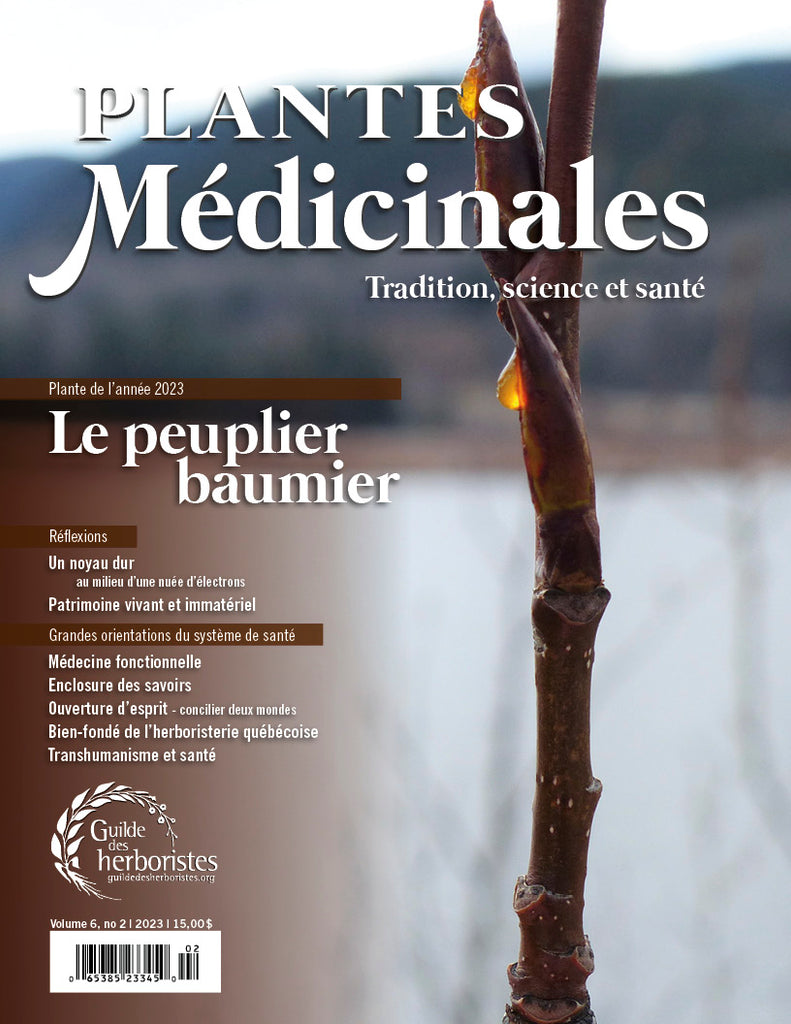 Plantes médicinales - vol. 6, no 2, 2023