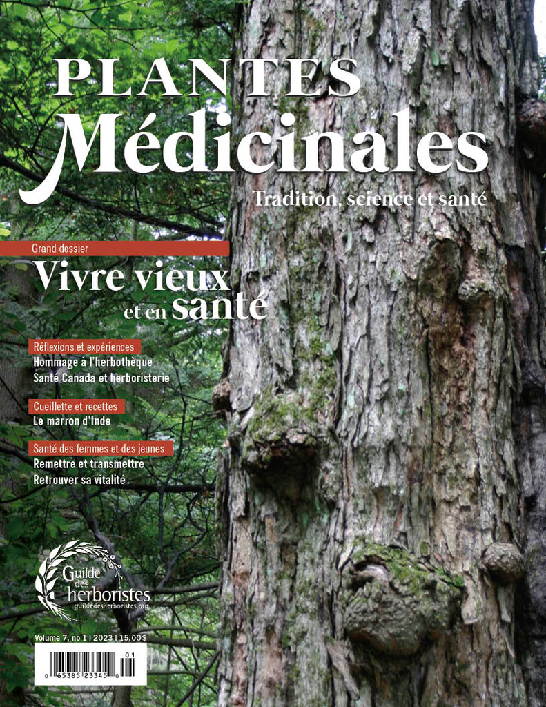 Plantes médicinales - vol. 7, no 1, 2023