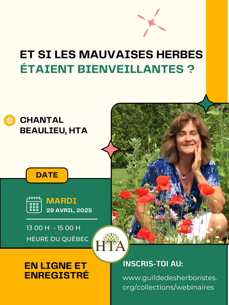 Et si les mauvaises herbes étaient bienveillantes ?
