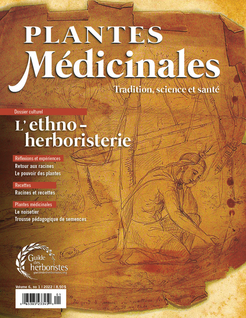 Plantes médicinales - vol. 6, no 1, 2022